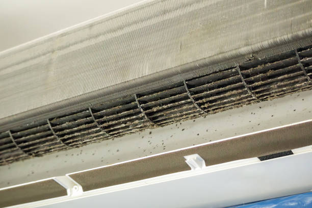 Best Best Air Duct Cleaning Company  in Moultrie, GA